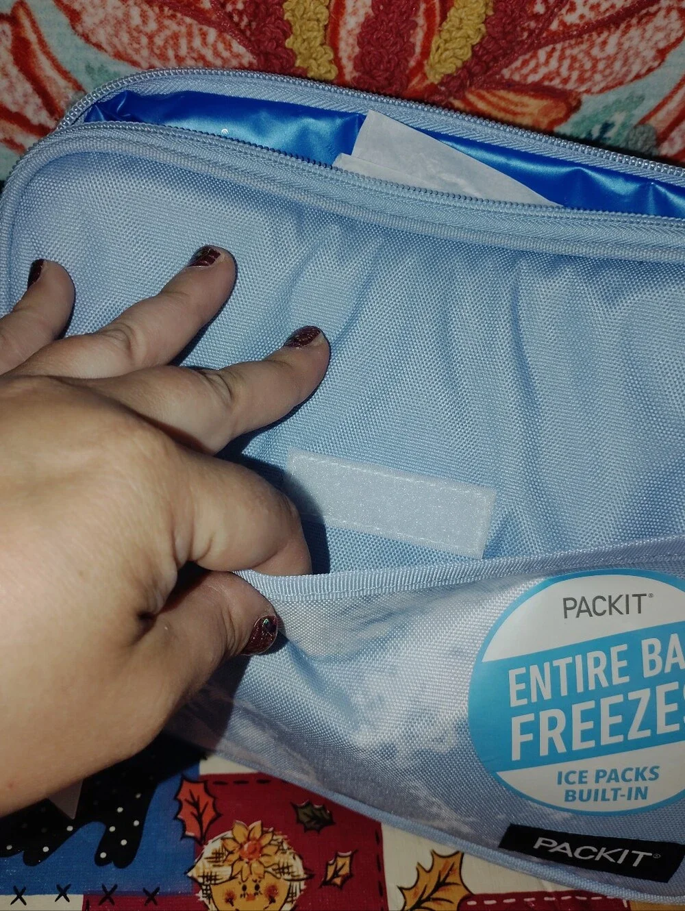 Packit Freezable Lunch Bag Entire Bag Freezes Built In Ice Pack Zippers Closed